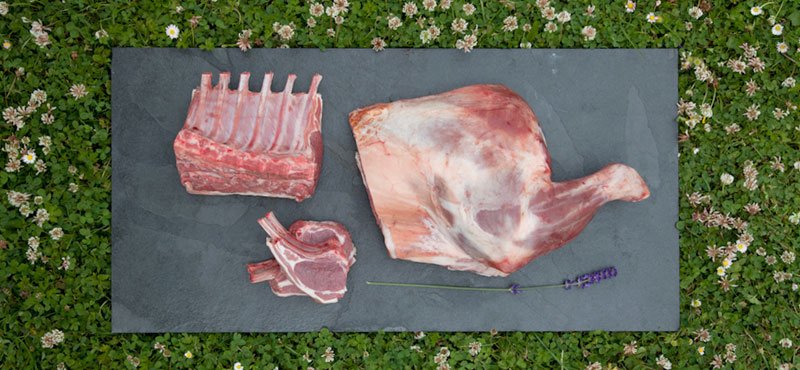 Spring Lamb