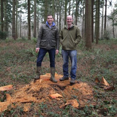 Douglas Fir Stump for Farm Shop Timber